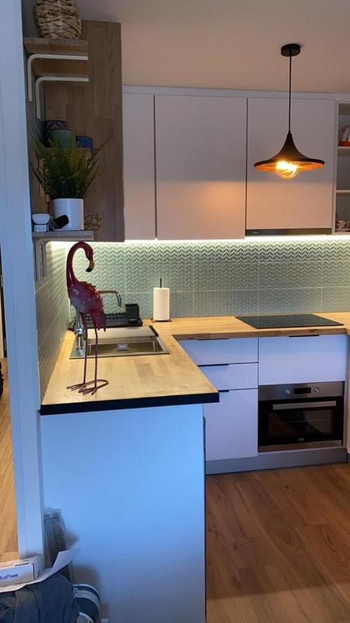 Apartment Pinomar La Mata (Torrevieja)